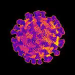 Natural Born Glitcher