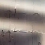 Machines of Loving Grace 3.0